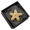 Nesican Broche Étoile de Mer Dorée
