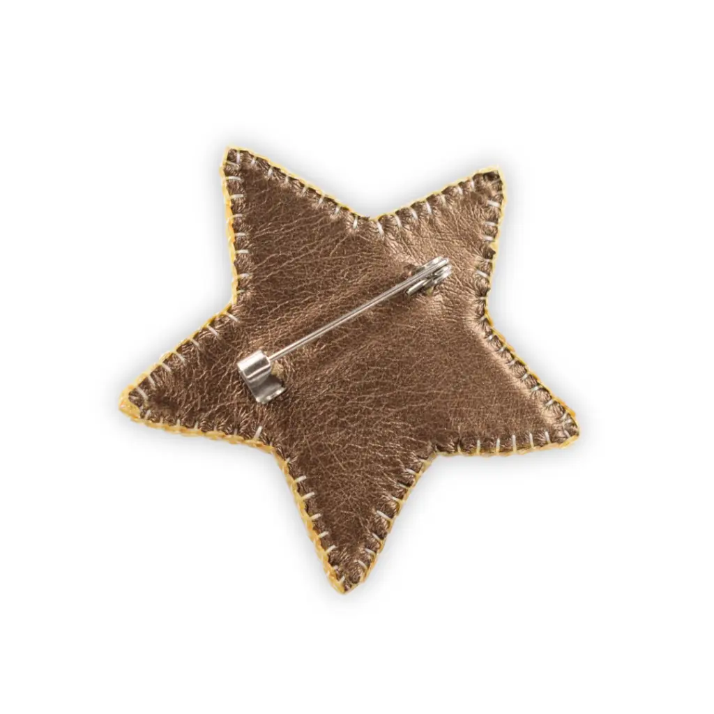 Coeur étoilé Broche epingle Nesican (2).webp