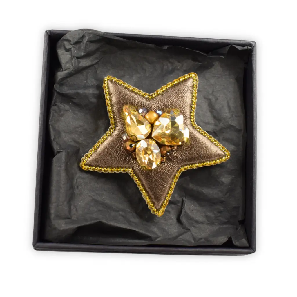 Coeur étoilé Broche epingle Nesican (3).webp