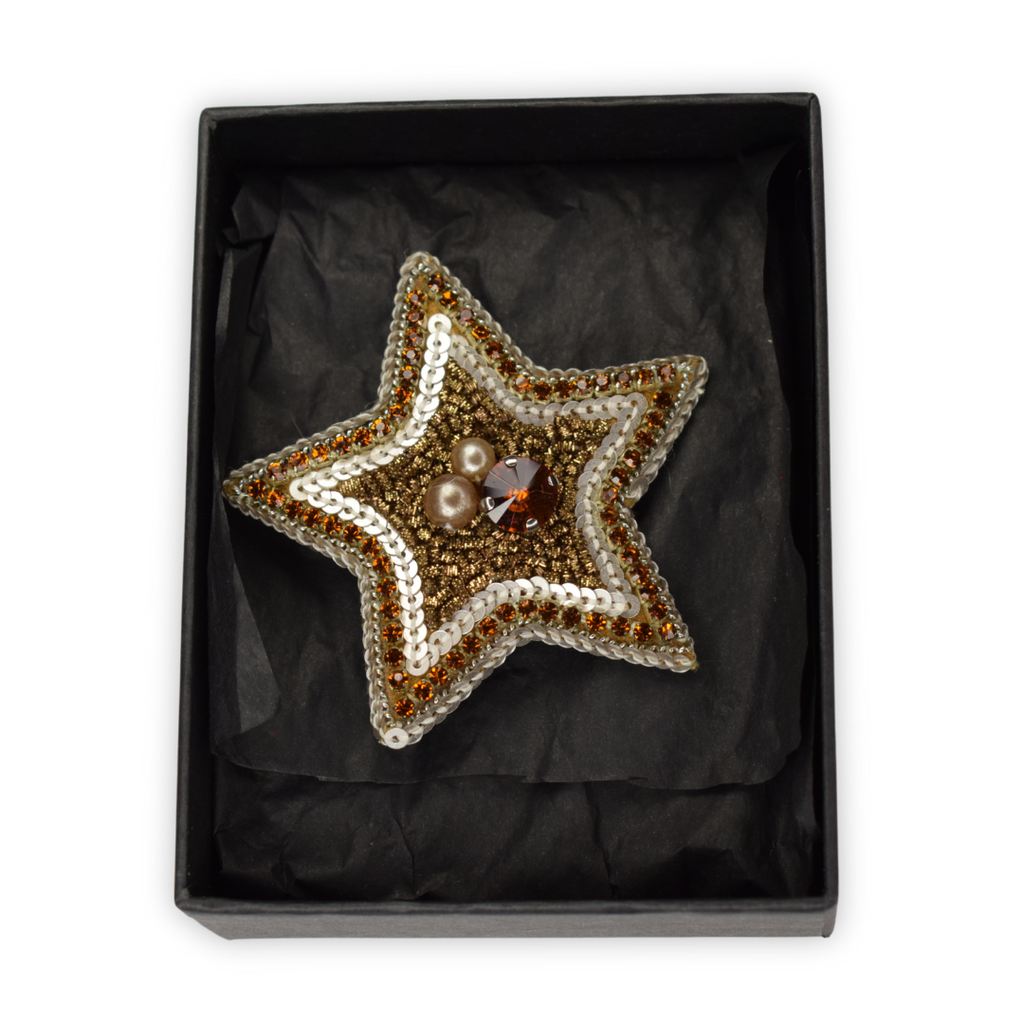 Nesican Broche étoile ecrin