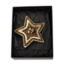 Nesican Broche étoile ecrin