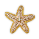 Broche - Étoile de Mer Dorée